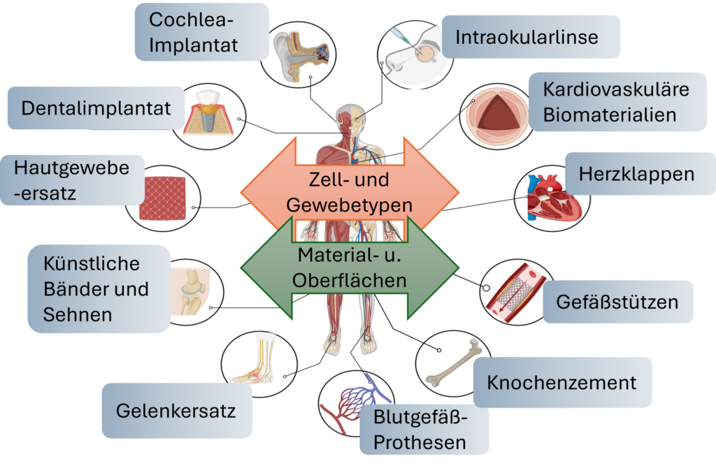 HydroMill wins Innovation competition "Gesünder.In.NRW"